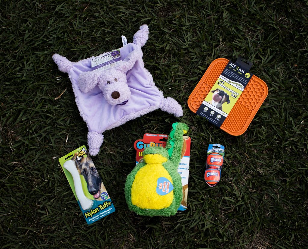 Pawsure Puppy Pack